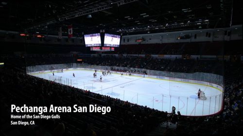 Gulls Pechenga Arena 2